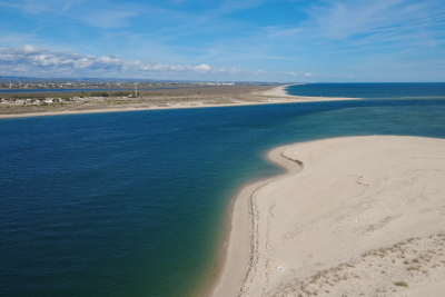 Marriage Proposal – Desert Island Experience