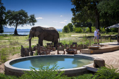 Victoria Falls & Zimbabwe Safari for Couples