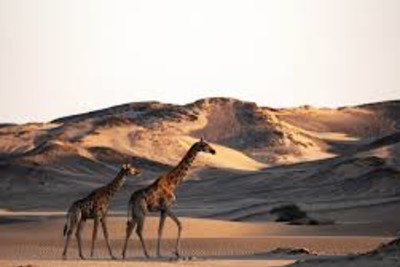 Luxury Namibia Desert Safari for Couples