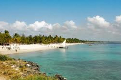 Safari of a Thousand Heartbeats