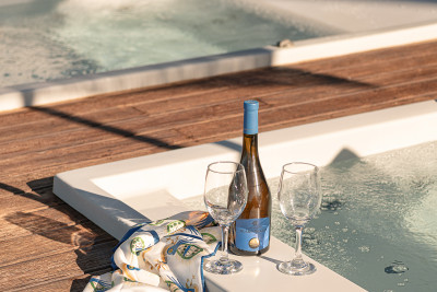 The Seaside Villa Proposal