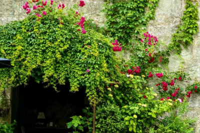 Slow Travel Celebration — 3 Nights