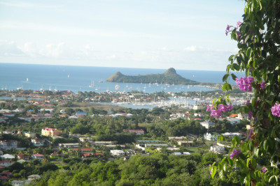 Panoramic View /Garden Tour