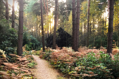 Romantic Woodland Escape in Yorkshire
