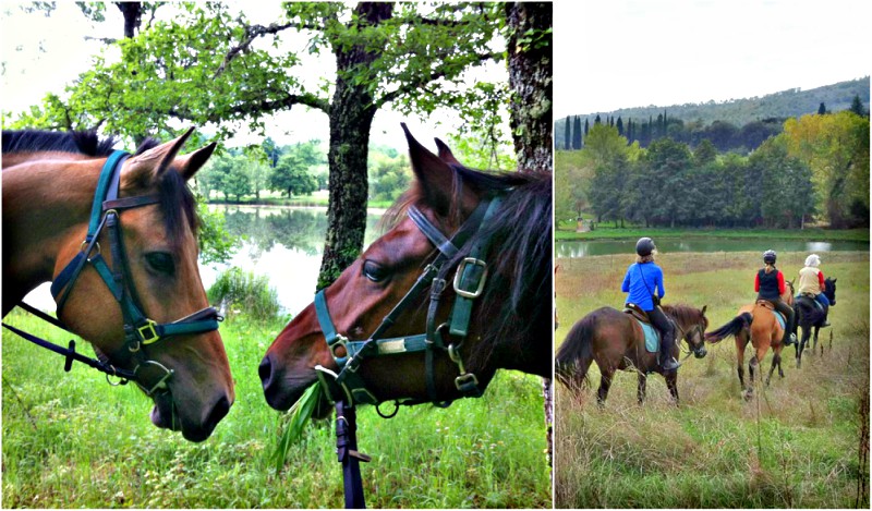 Horses lakeside | Horseback tour through Tuscany