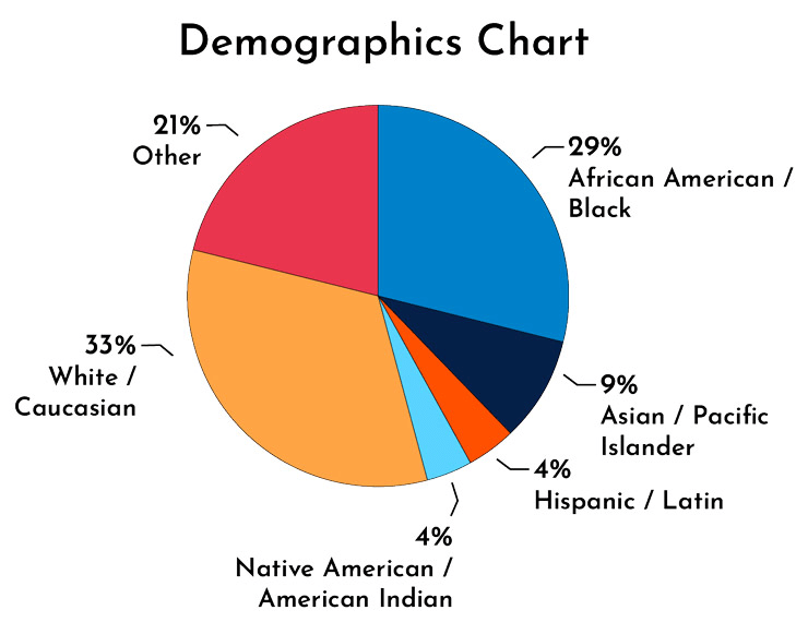 Demographics pie chart with text 29% African American/Black, 9% Asian/Pacific Islander, 4% Hispanic/Latin, 4% Native American/American Indian, 33% White/Caucasian, and 2% Other.