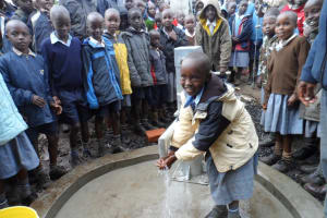 The Water Project: Teresia Primary School Water Project - 