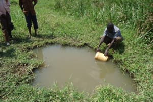 The Water Project: Kahara Kapole II Kadambi - 