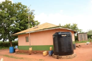 The Water Project: Wikwatyo wa Mutula New Well Project - 