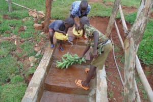 The Water Project:  Children Cleaning The Spring Area