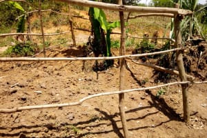 The Water Project: Ematetie Community, Chibusia Spring -  Fence Protecting The Spring Box