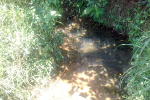 The Water Project:  Matanyi Spring