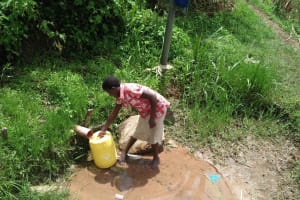 The Water Project: Shihungu Community, Shihungu Spring -  Fetching Water