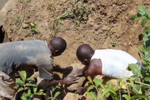 The Water Project: Mwichina Community, Matanyi Spring -  Placing Stones For Backfilling