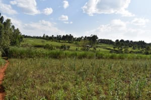 The Water Project: Chimoroni Community, Ezekiel Mmasi Spring -  Farmlands