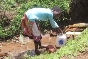 The Water Project: Elwasambi Community, Kadi Spring -  Medina Fetching Water