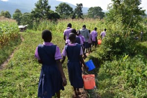 The Water Project: Munanga Primary School -  Pupils Get Water From Spring