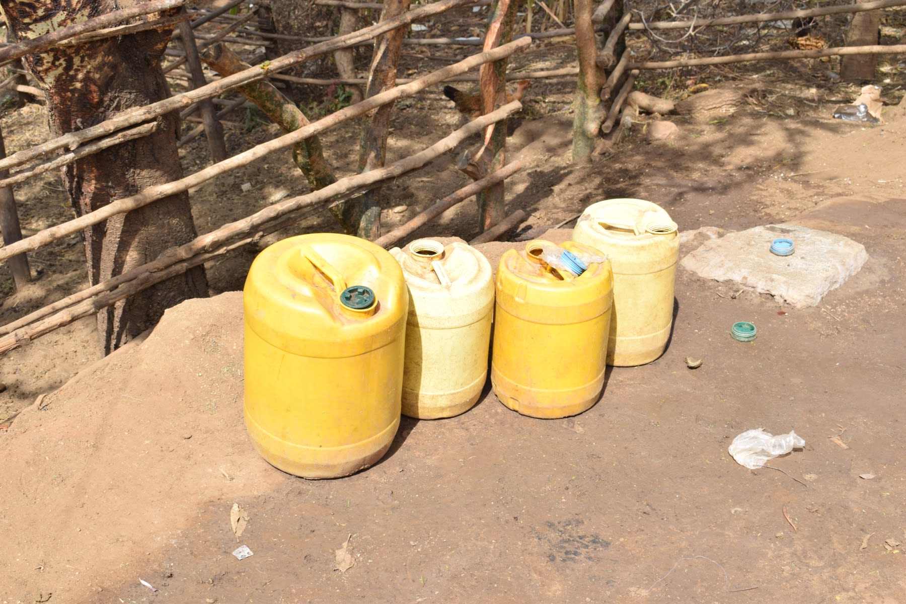 The Water Project Kenya Masaani Community