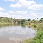 A Year Later: Mbuuni Community Sand Dam