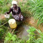 Emulakha Community, Nalianya Spring Project Underway