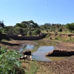 Giving Update: Kala Community Sand Dam