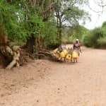 Exciting Progress in Museesu Community!