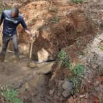 Exciting Progress in the Ikoko Community!