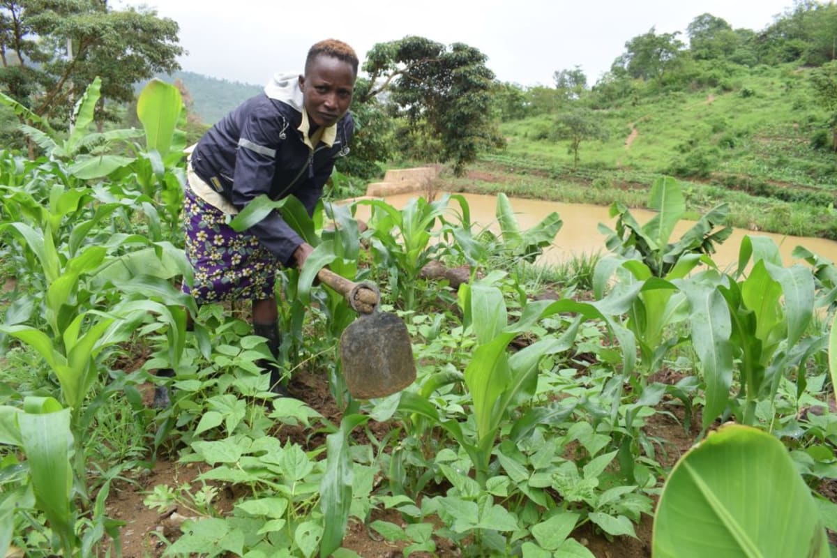 A Year Later: Becoming economically independent through agriculture!