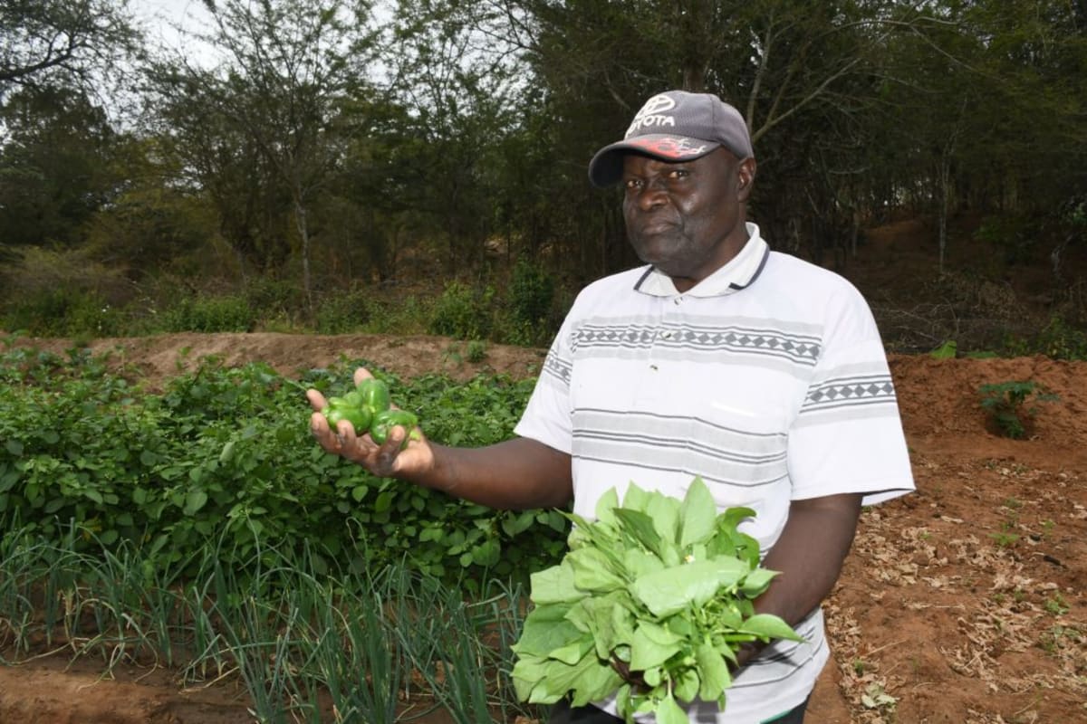 A Year Later: Improved Food Security!