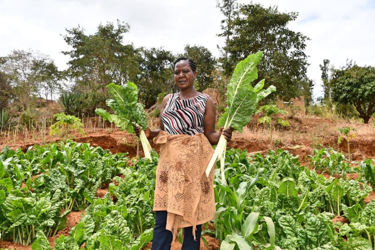 Water Access Allows Lena to Venture into Farming!