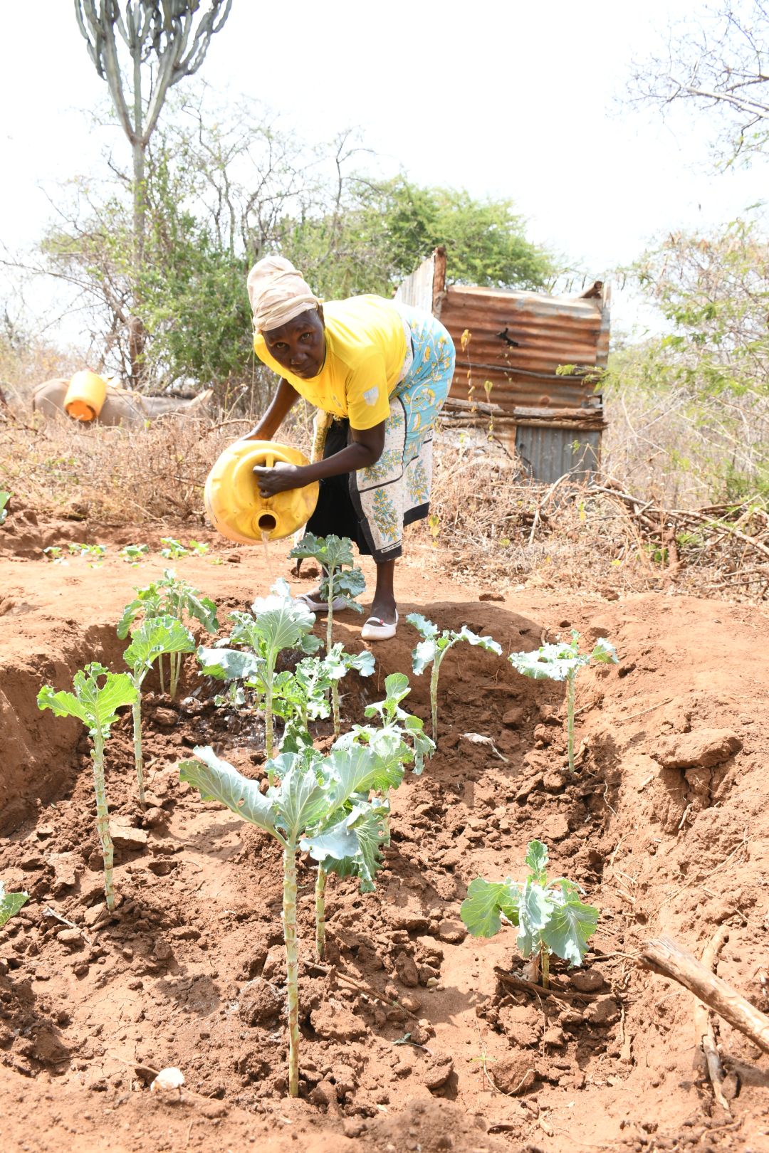 See the Impact of Clean Water - Rose Enjoys Good Health, Peace of Mind and Hope for the Future!