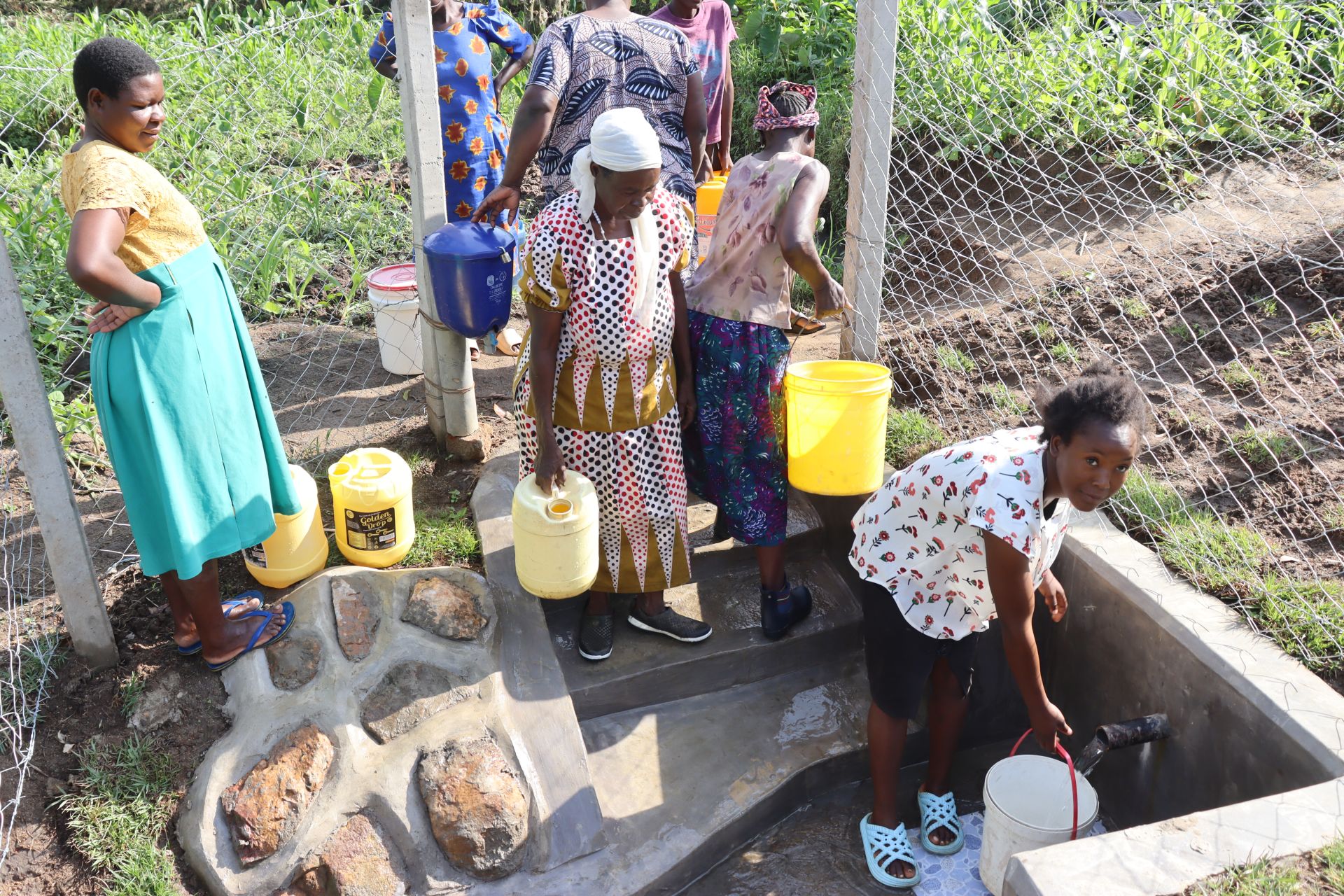 Emusioma Community 3