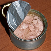 A can of tuna