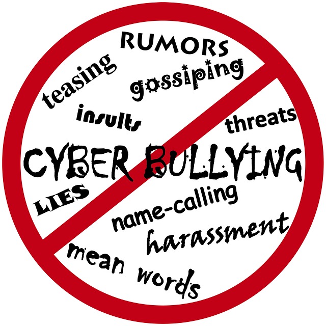 Aspergers and cyber bullying