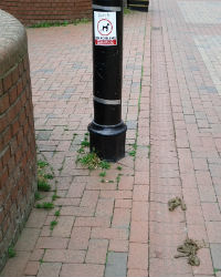 Dog fouling sign along with dog mess