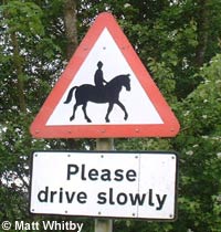 Horses, please drive slowly - (c) Matt Whitbby