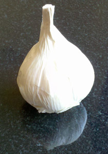 A bulb of garlic