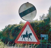 Horses on the road - national speed limit