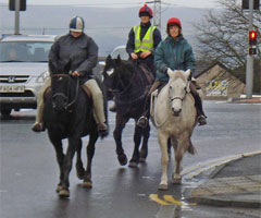 Horses riding on the road