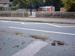 horse crap in the road