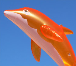 Orange mobile packages - Dolphin