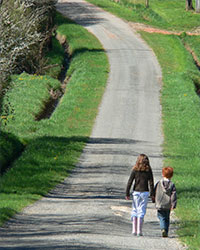 Pedestrians walking in the road