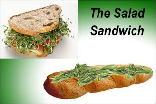 Lunch bagguette salad sandwich