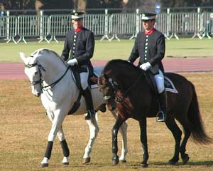 Horse Picture: Barcelona, spanish mounted police