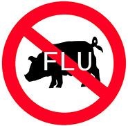 Swine Flu just a scare?