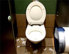 Another disgusting toilet, please learn to pee IN the toilet, not on it! 