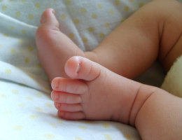 Young baby feet