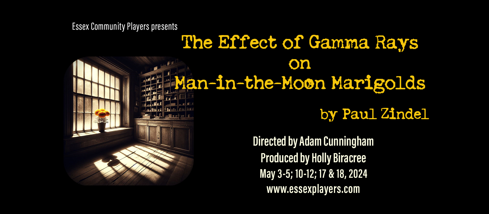 The Effect of Gamma Rays on ManintheMoon Marigolds TheaterEngine