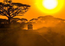 Dreaming of an African Safari?