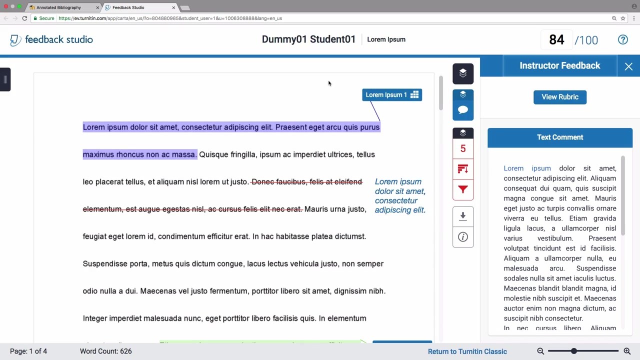 turnitin login details